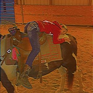 Meet your Posher, Abby